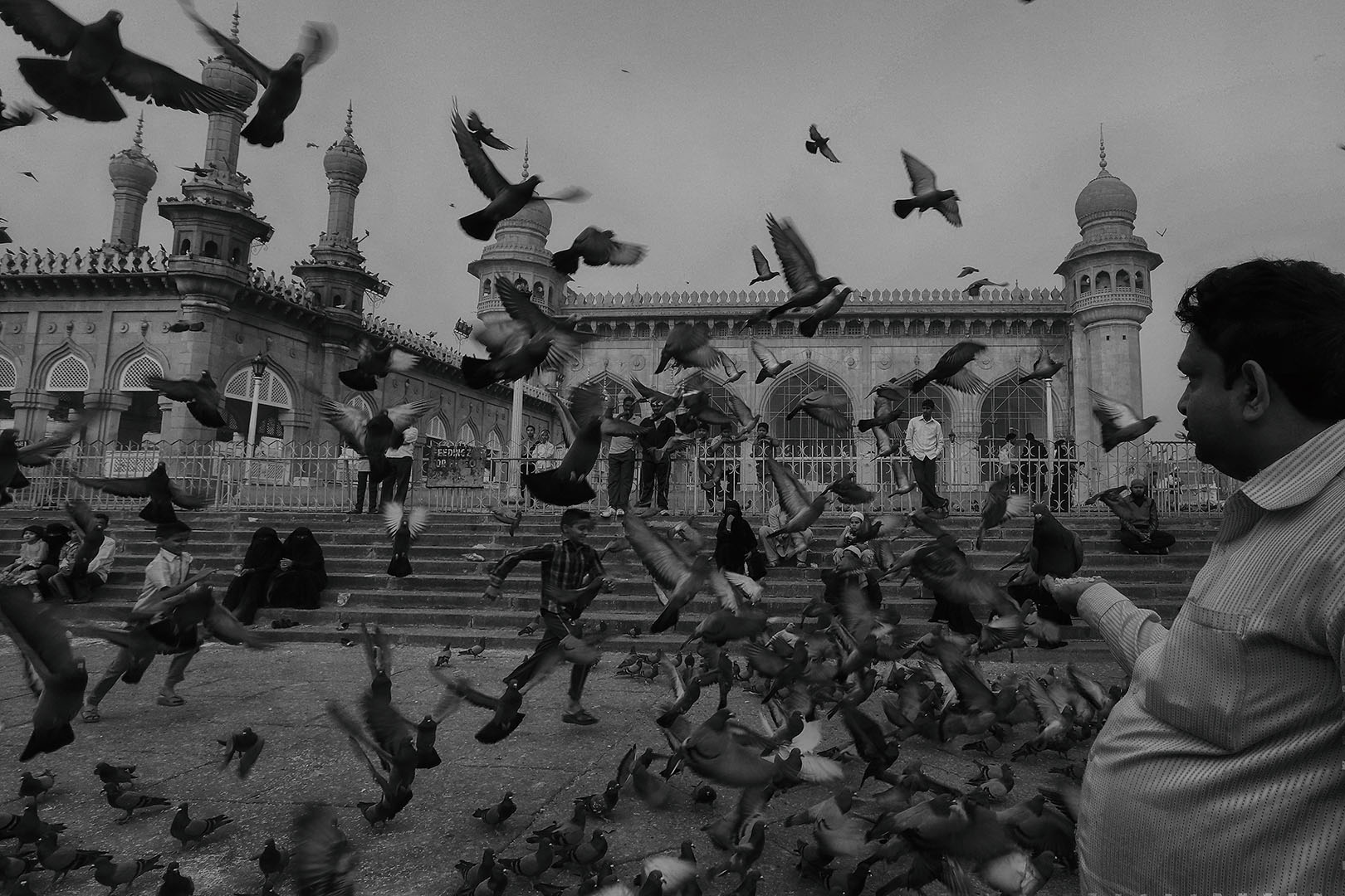 283 | Hyderabad 2014